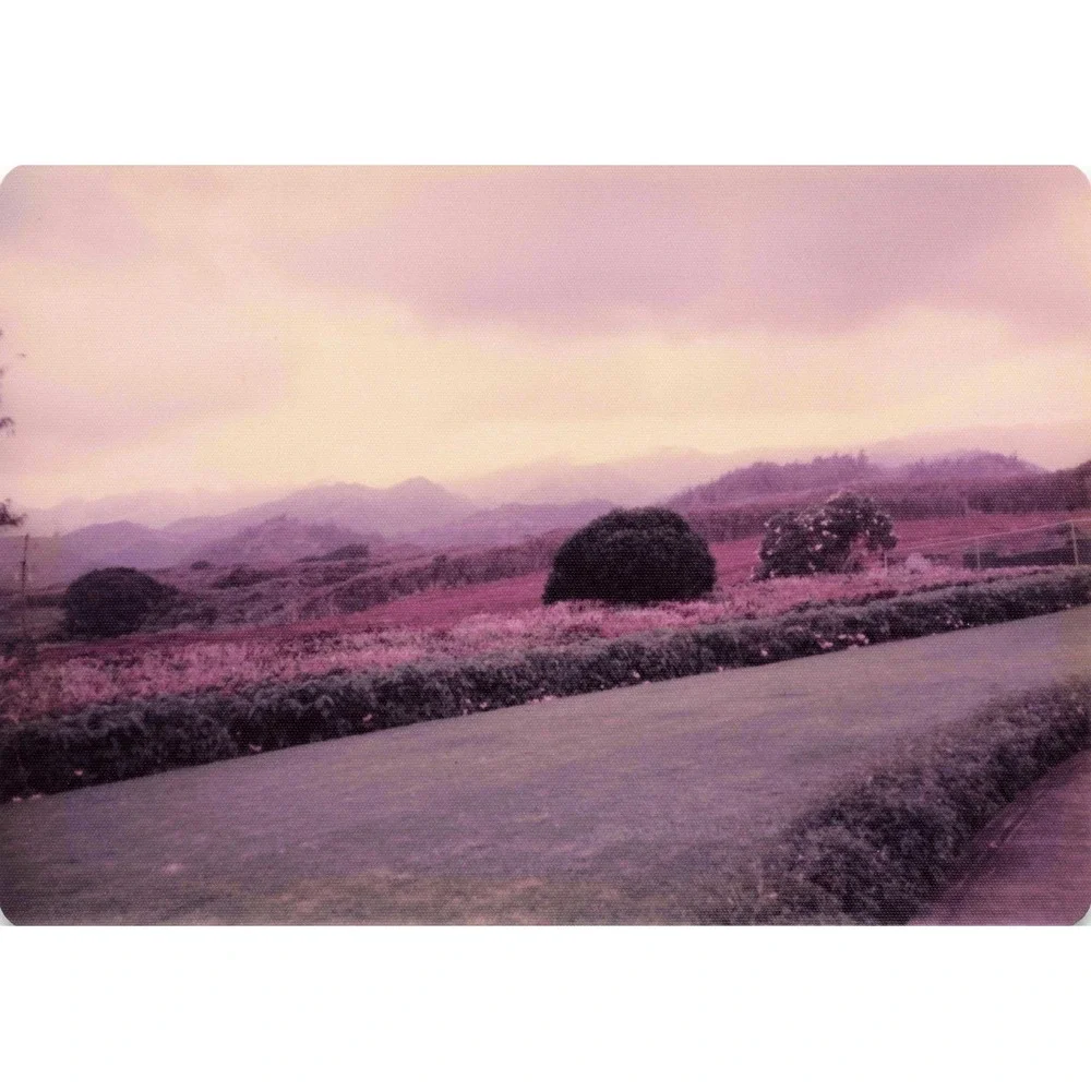 Vintage 1970s Laie Hawaii Temple Oahu Dusk Scenic Photos Lot of 3 - Picture 2 of 3